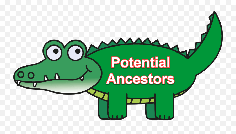 Genetic Genealogy - Transparent Background Alligator Clipart Png Emoji,Emojis In Ancestry Messaging