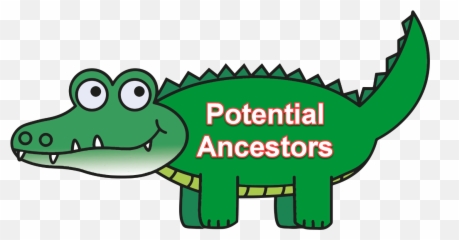 Genetic Genealogy - Transparent Background Alligator Clipart Png Emoji,Emojis In Ancestry Messaging