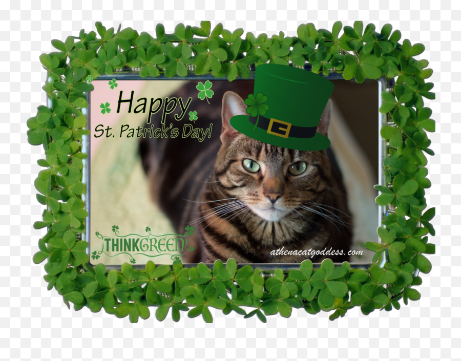 Athena Cat Goddess Wise Kitty Caturdayart St Patricku0027s Day Emoji,Green Emoticon For St Patrick's Day