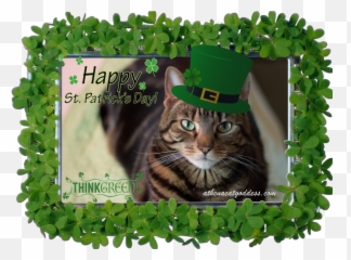 Athena Cat Goddess Wise Kitty Caturdayart St Patricku0027s Day Emoji,Green Emoticon For St Patrick's Day