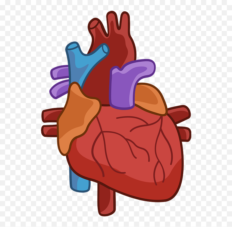 Human Heart Clipart Free Download Transparent Png Creazilla Emoji,Human Heart Emoji