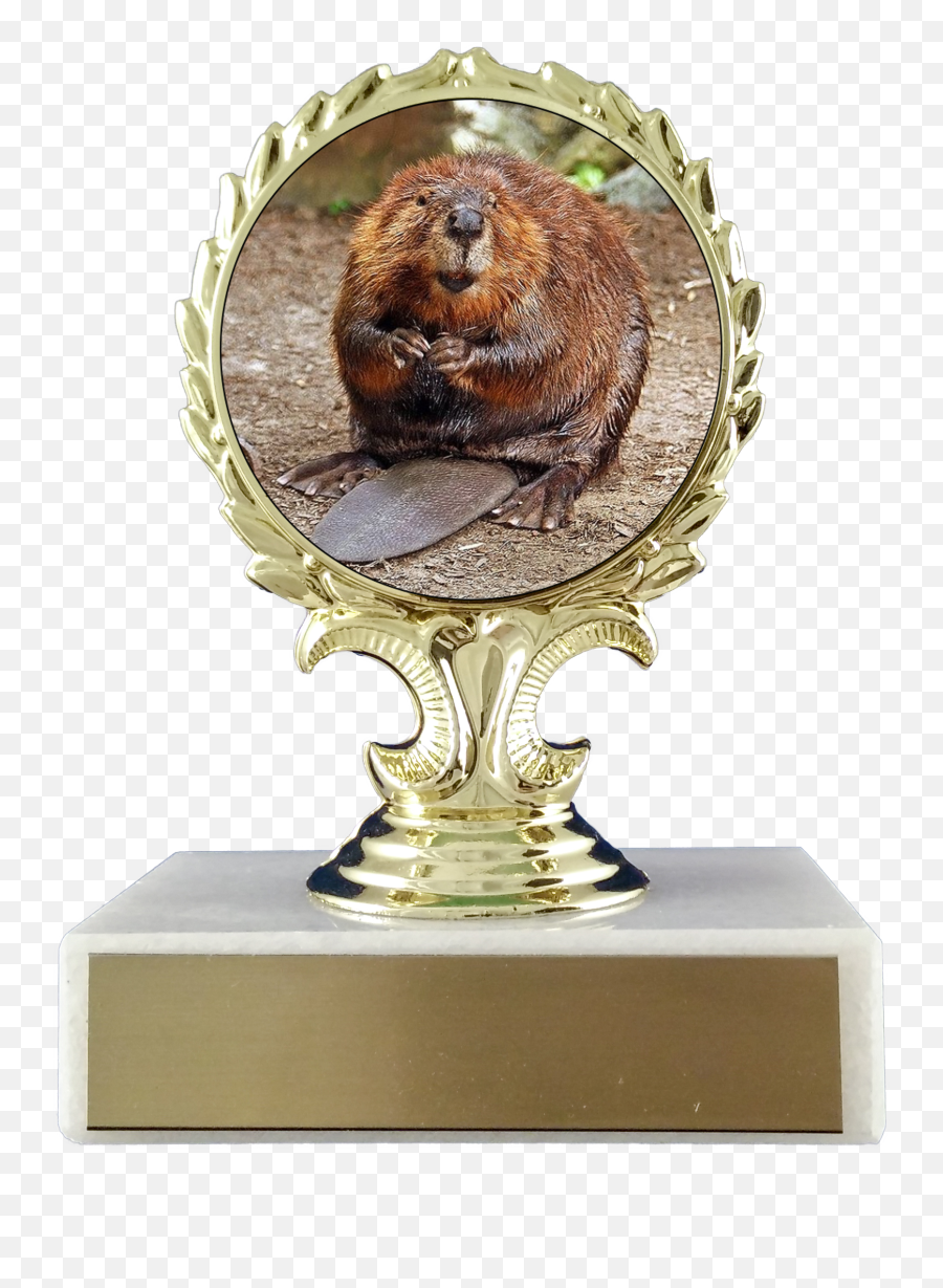 Beaver Logo Trophy On Flat White Marble - Beaver Vanilla Emoji,Skeeter Trophy Emojis