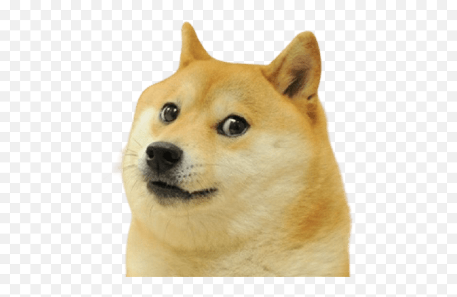 How To Make Telegram Stickers With Zero Experience - Roblox Doge Image Id Emoji,Dog Emoji For Facebok