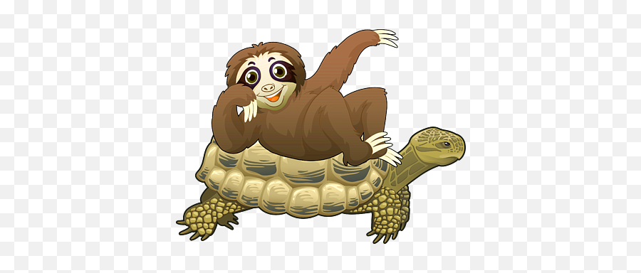 Cute Funny Sloth Riding Turtle Adorable Animals Womenu0027s T - Sloth And Turtle Emoji,Upside Down Turtle Emoticon