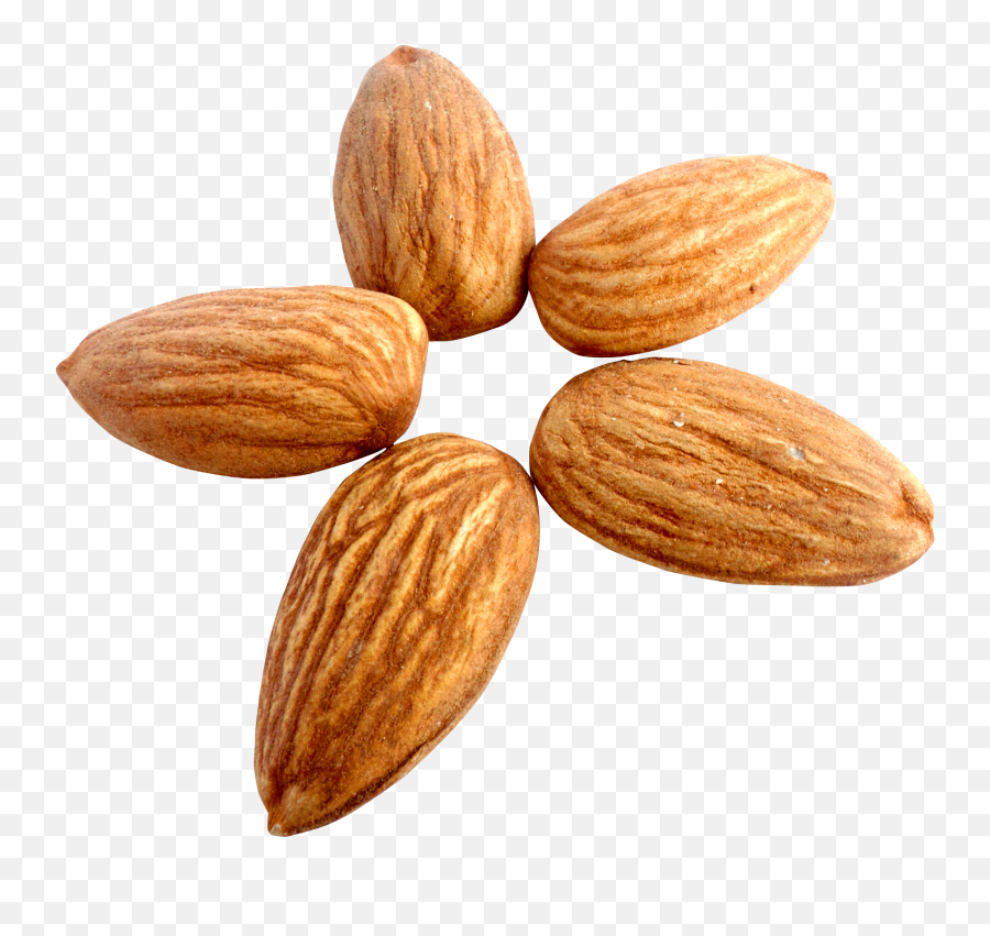 Nut Almond Apricot Kernel - Almond Png Download 17001559 Emoji,Nut Emojis
