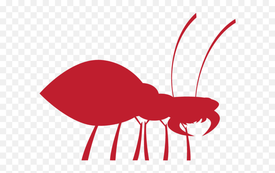 Termites U2013 Killroy Pest Control Emoji,Spring Is Here Emojis