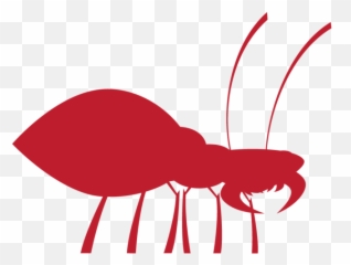 Termites U2013 Killroy Pest Control Emoji,Spring Is Here Emojis
