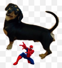 See Annette266 Profile - Superhero Emoji,Dachshund Emoticon
