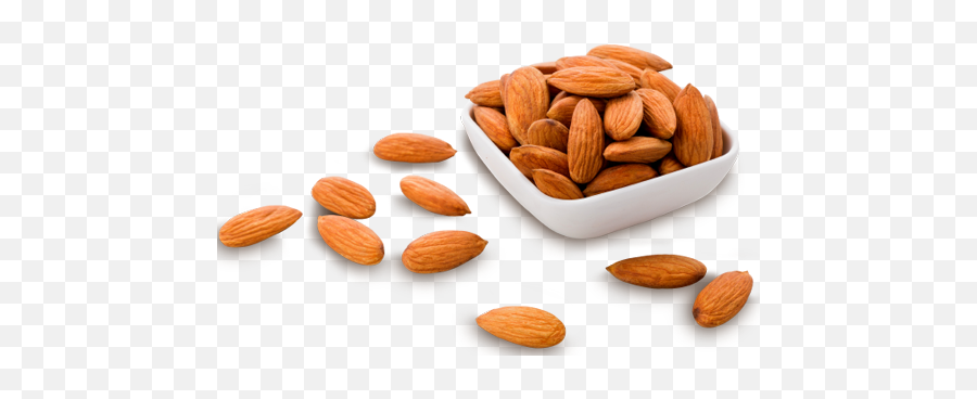 Dry Almond Png Image Background Png Arts Emoji,Home Almond Emojis