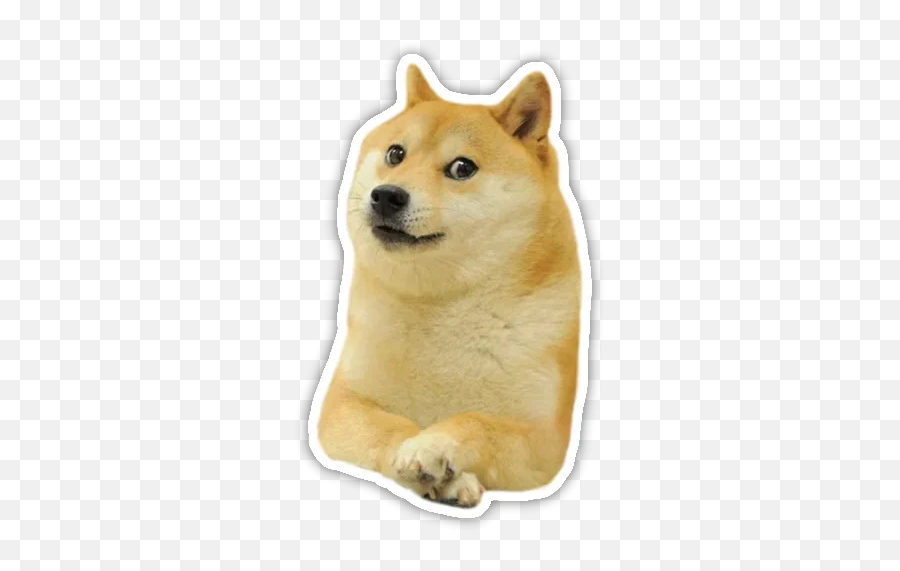 Telegram Sticker From Cute Dog Pack Emoji,Dog Emoji Meme