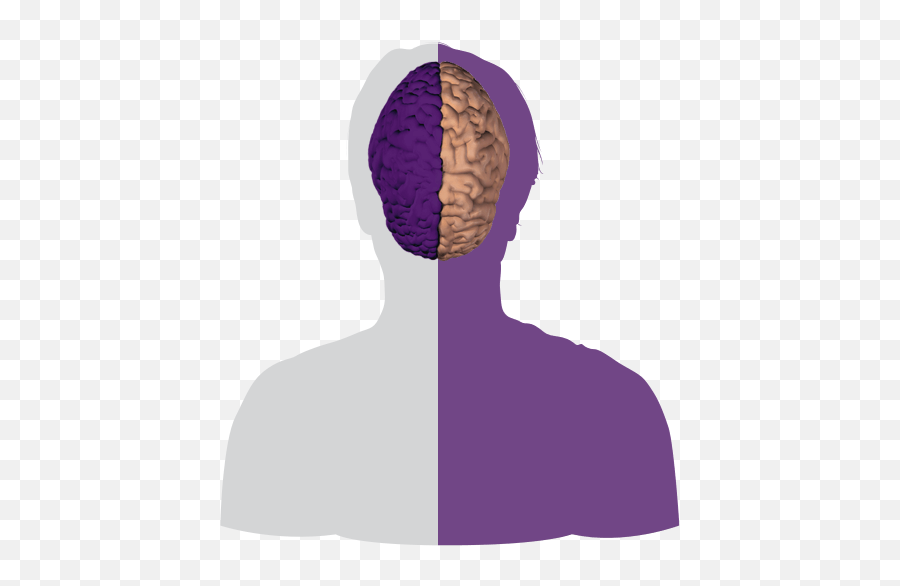 Inside The Brain - Brain Basics Alzheimeru0027s Association Right Half Of The Brain Emoji,Part Of The Brain Controlling Emotions