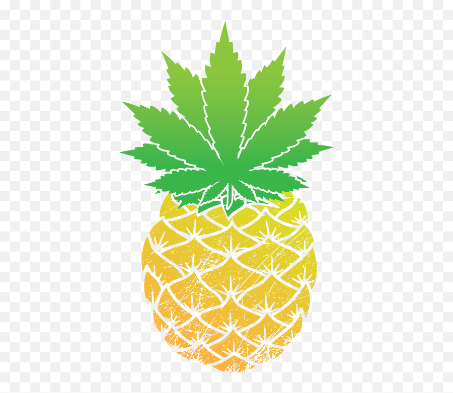 Weed Pineapple Cannabis Pot Head Gift Idea Fleece Blanket - Thank You For Coming Pineapple Emoji,Weed Emoticons For Iphone
