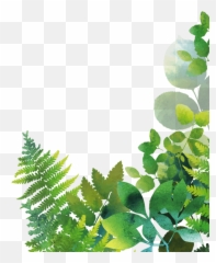 Children And Nature Network - Fern Emoji,Emotions Hurt Picyure