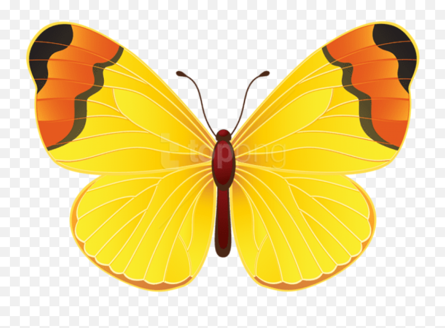 Gold Butterfly Png - Clip Art Yellow Butterflies Emoji,Purple Butterfly Emojis