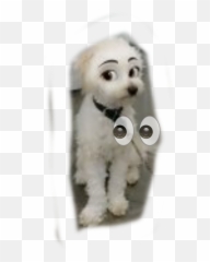 The Most Edited Veo Picsart - Soft Emoji,Dog With Ar Emojis