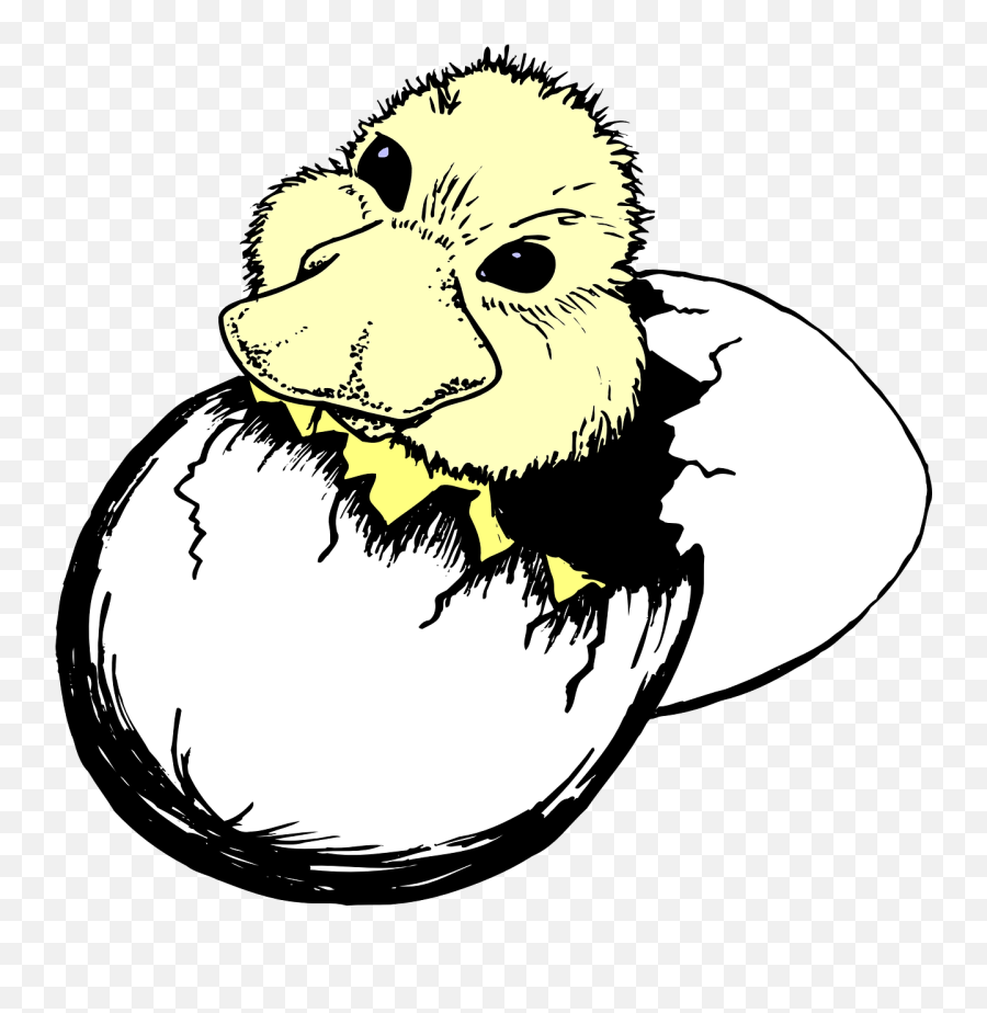 Baby Bird Synonym - Egg To Hatch Clipart Emoji,Baby Bird Egg Emoji