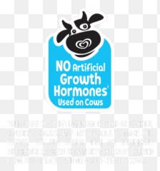 Chocolate Eclair Bar Good Humor - Language Emoji,Do It Yourseld Emoji Cupcake Sticks