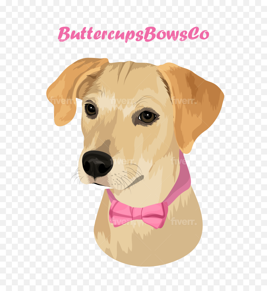 Draw Dog Cat Pet Portrait Vector Illustration By Aburn Fiverr - Martingale Emoji,Send Your Friends Cute Cream Labrador Retriver Emojis