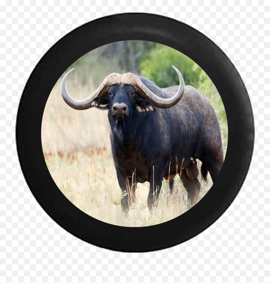 Products - Buffalo Patronus Emoji,Longhorn Emoji