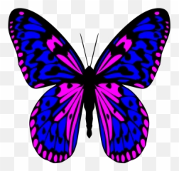 Free Photo Butterfly Antennae Wings Colorful Icon Insect Emoji,Butterfly Emoji