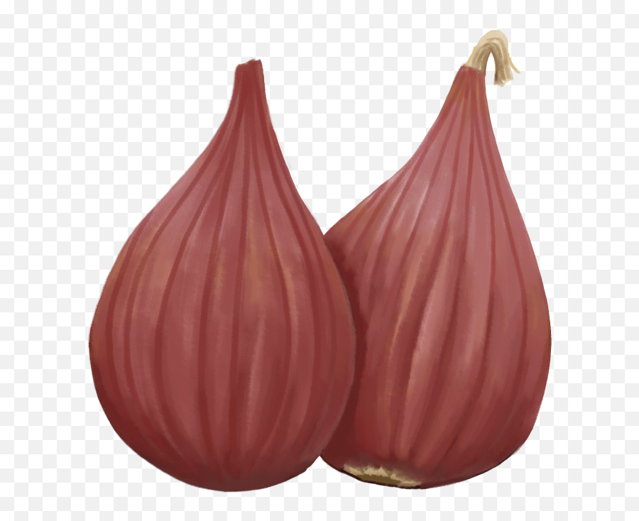 Plants Emoji,Windows Onion Emoji Vector??????