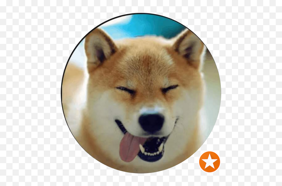 Starbucks Cafe Wrocaw Pisudskiego 581b - Restaurant Emoji,Starbucks Cup Discord Emoji