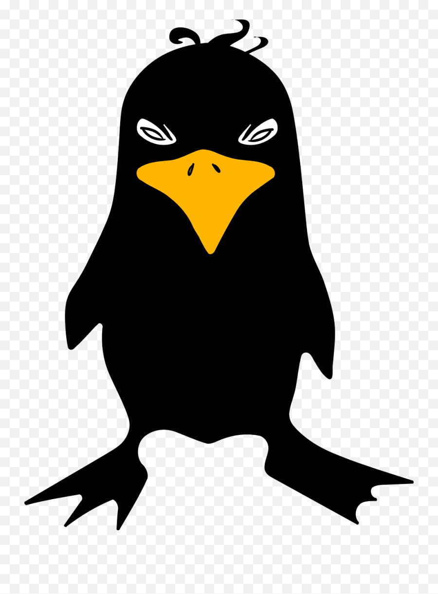 Free Photo Crow Black Bird Raven Angry - Cartoon Black Bird Emoji,Bird Emotions