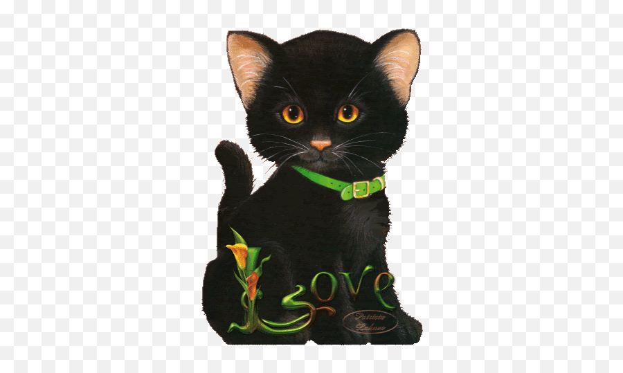 Top Cat Gifs Stickers For Android U0026 Ios Gfycat - Buongiorno Venerdi 17 Gif Emoji,Black Cat Emoticon