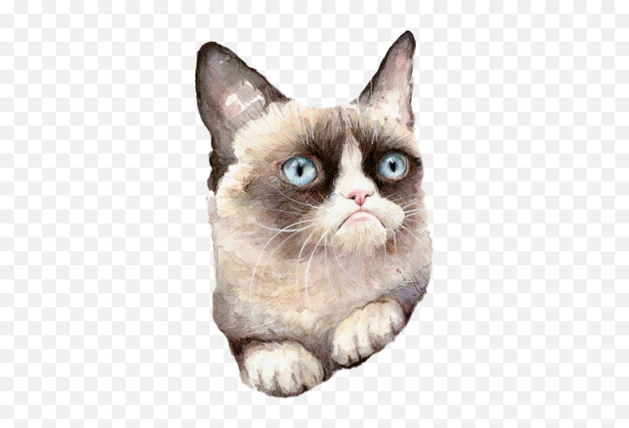 Grumpy Cat Png Clipart Png Mart Emoji,Angery Cat Emoji