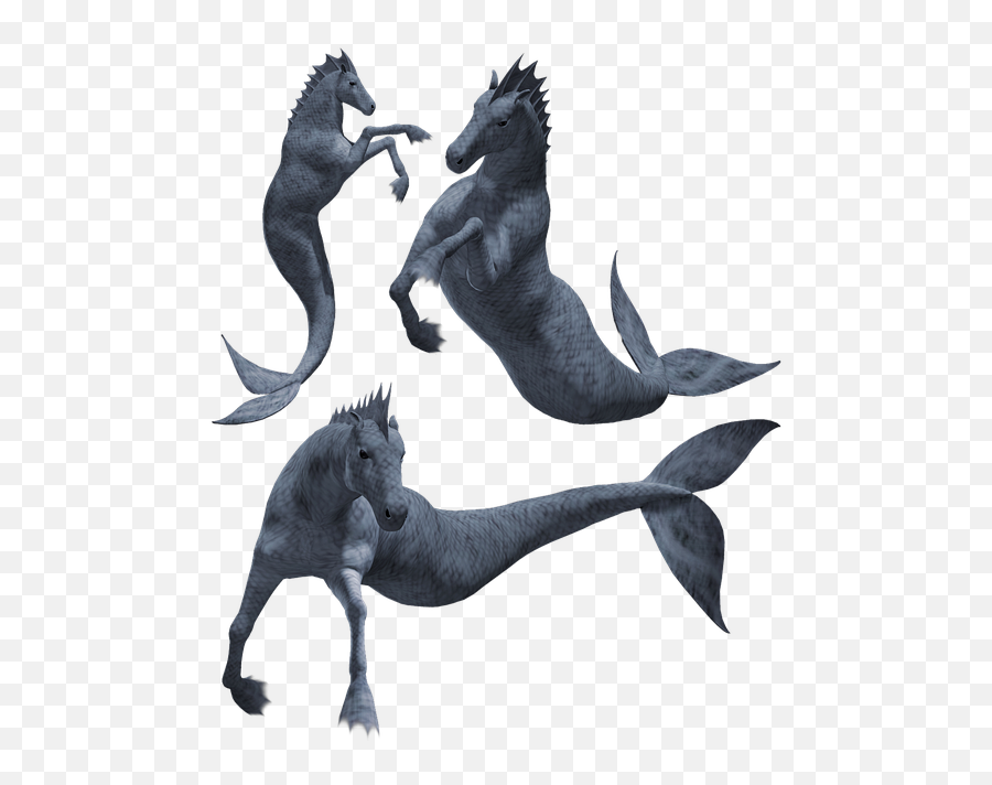 Free Photo Monster Hippocampus Creature Beast Horse Seahorse Emoji,Cartoon Seahorses Emotions