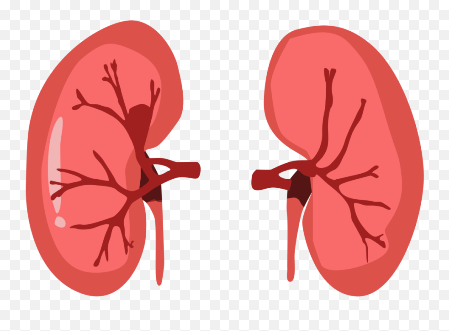 Is Blood Creatinine Enough For Renal Function Tests Wrong Emoji,League Of Legends Adc Emoticon