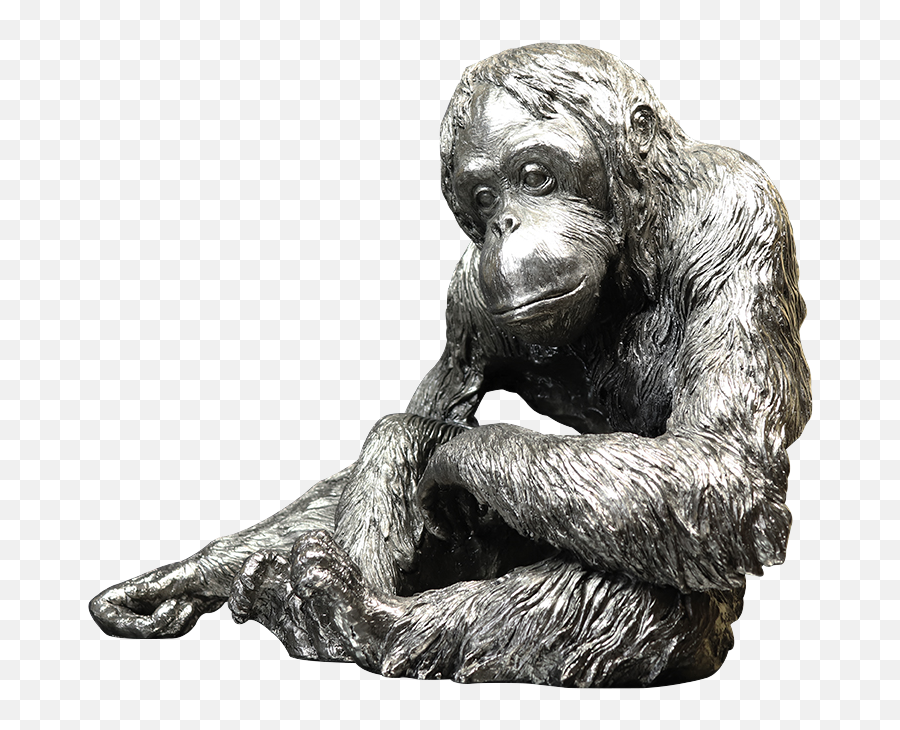 Richard Cooper Orangutan Nickel Resin Sculpture U2013 Catherine Best Emoji,Orangutan Emoji