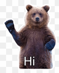 Nagatoro1 Emoji,Grizzly Bear Emojis Ffor Discord