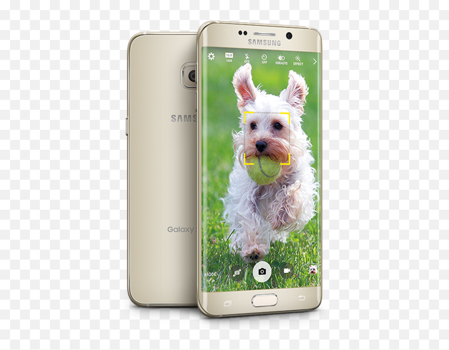 Samsung Galaxy S6 Edge Plus Skins U0026 Wraps U2013 Easyskinz - Gold Samsung S6 Edge Emoji,How To Put Emojis On Samsung Galaxy S6