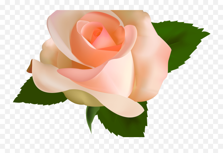 Green Heart Emoji Crown Transparent - Novocomtop Peach Rose Flower Bud,Qween Emoji