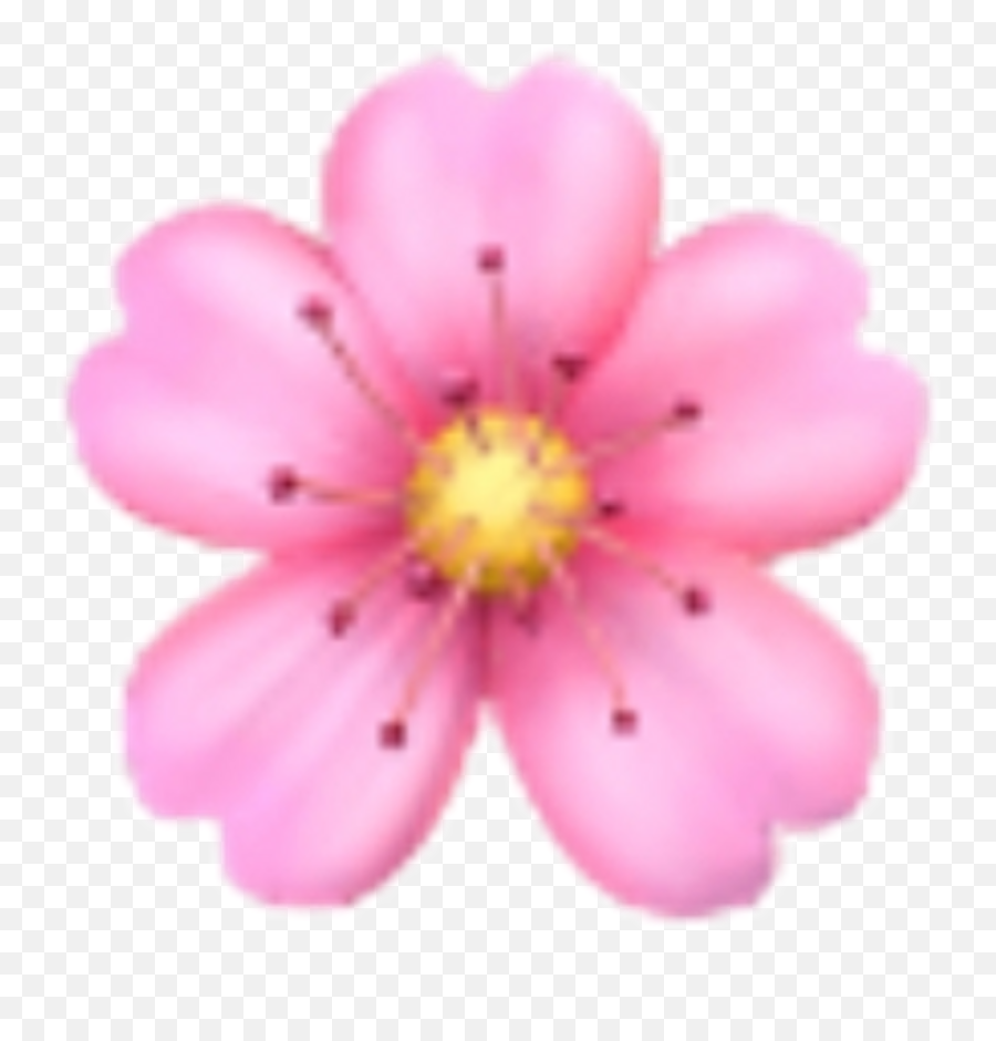 Flower Sakura Emoji Emojis Rose Sticker - Flower Emoji Png,Pink Flower Emoji