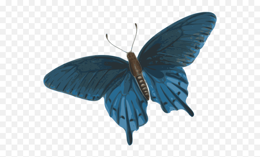 Lonelii - Miiee Animated Flying Butterfly Gif Png Butterfly Animation Flying Png Emoji,