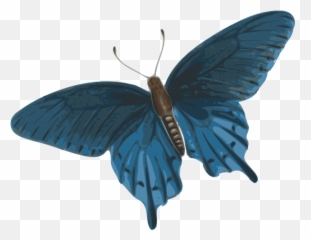 Lonelii - Miiee Animated Flying Butterfly Gif Png Butterfly Animation Flying Png Emoji,
