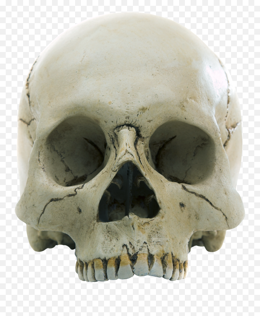 Skull Png Image - Purepng Free Transparent Cc0 Png Image Emoji,Skull & Bones Bird Sailboat Emoji