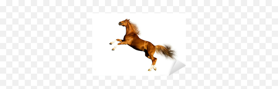 Sticker Chestnut Horse Isolated On White Background - Pixersus Emoji,Powerpoint Emojis Horse