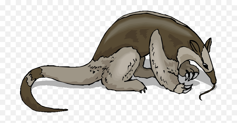 Anteater Coloring Page - Sloths And Anteaters Emoji,Anteater Emoji