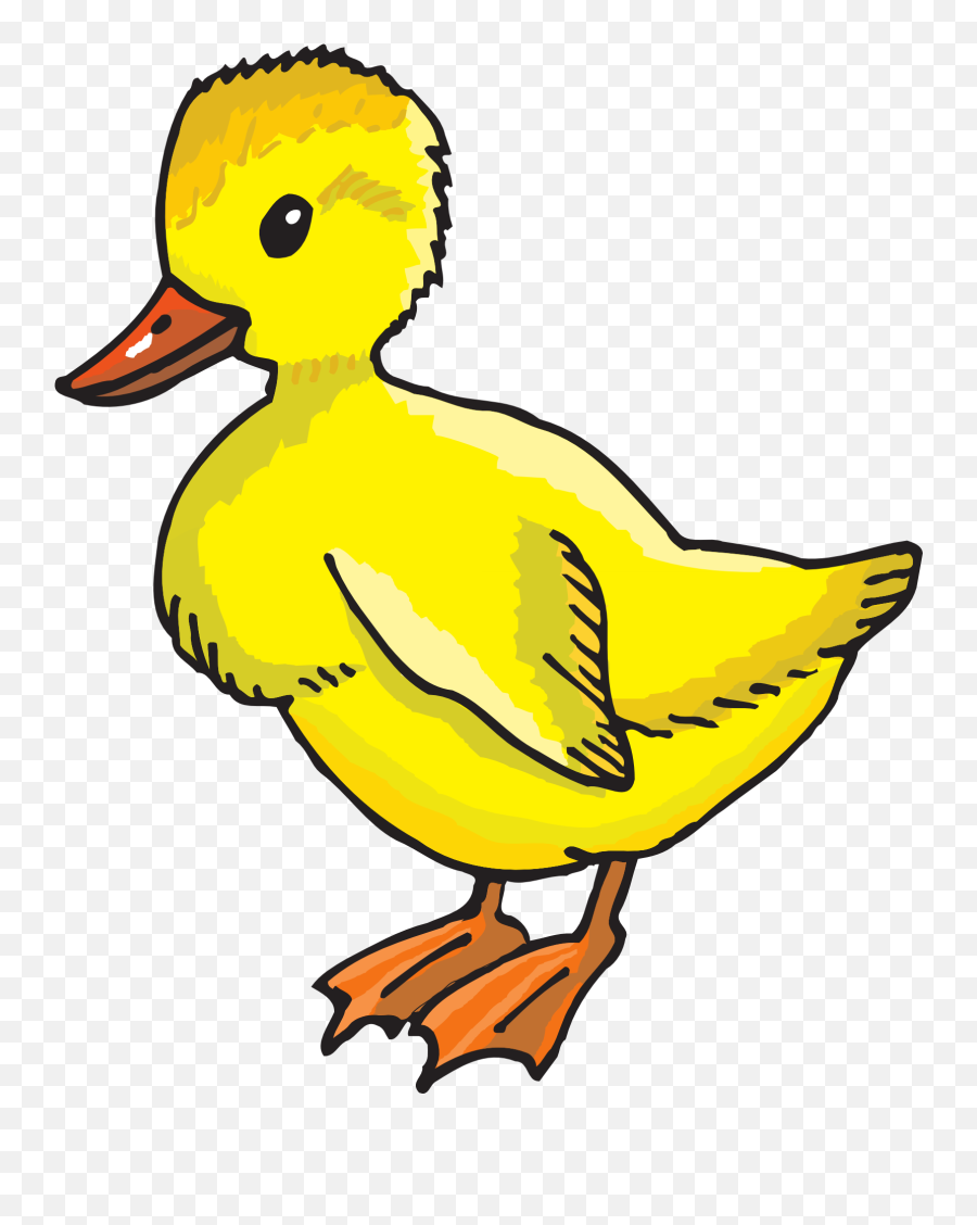 Duckling Clipart Follow Me Duckling Follow Me Transparent - Free Clip Art Duck Emoji,Baby Duck Emoji