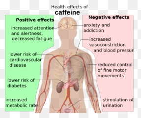 This Is Your Body On Energy Drinks Caffeine Effects - Health Effects Of Caffeine Emoji,Organ Emotions Anxiety