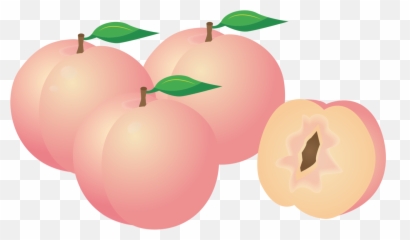 Peaches Png - Peach Computer Icons Fruit Download Food Peaches Clip Art Emoji,Peaches Emoji