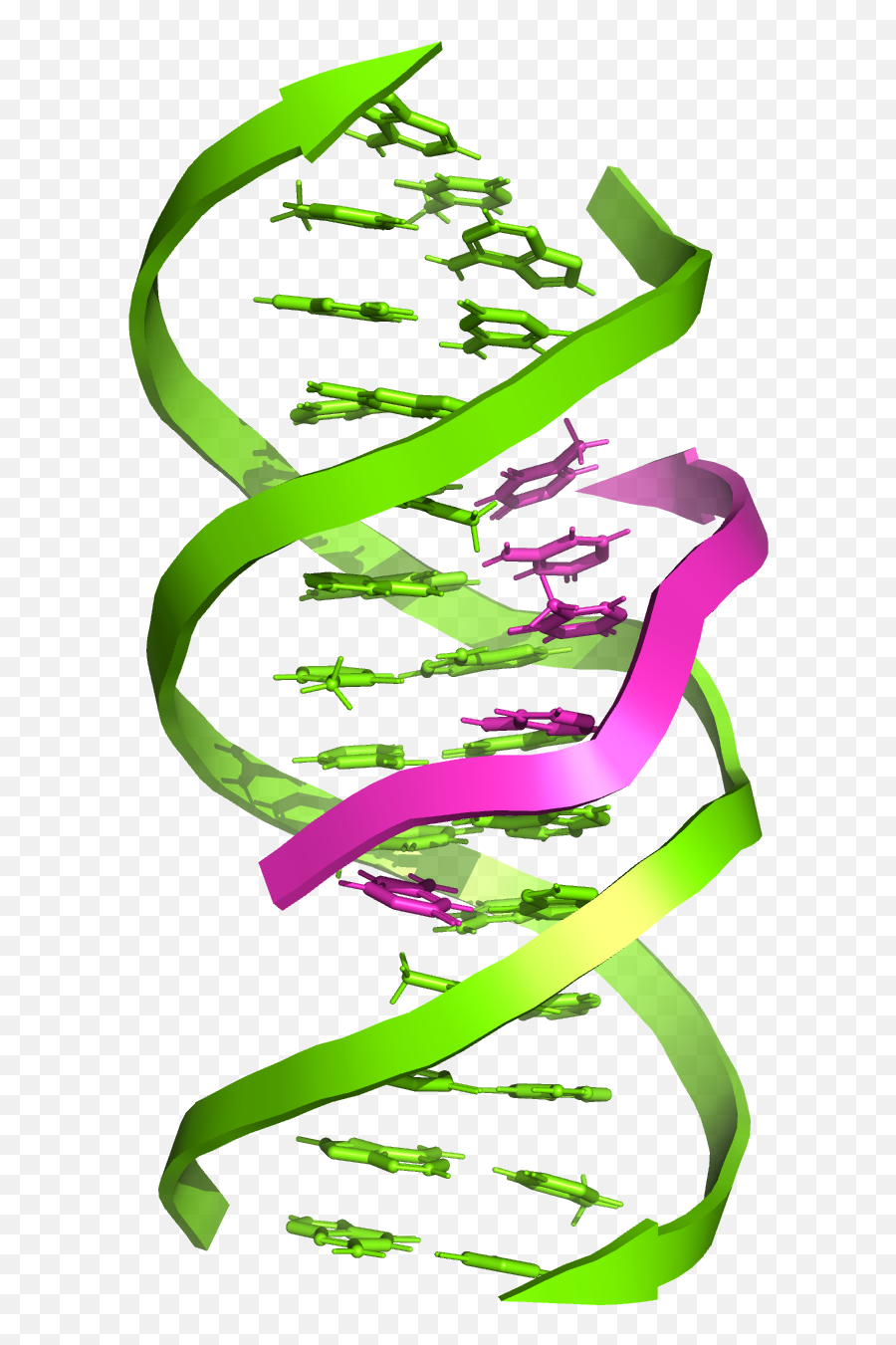 Triple - Stranded Dna Wikipedia Language Emoji,Comlex Emotions