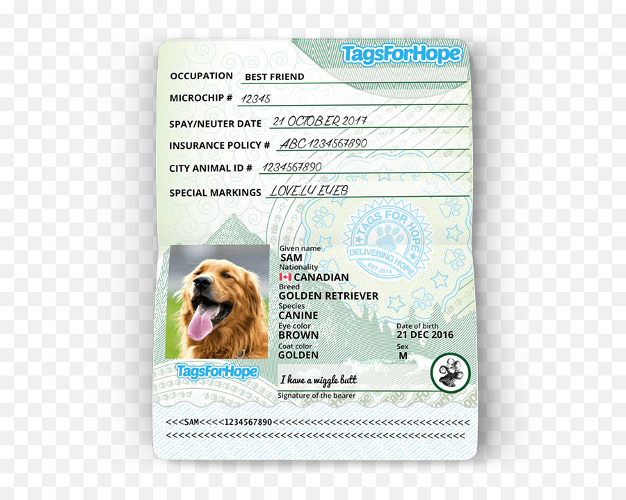 Tagsforhope Personalized Pet Id Tags For Dogs U0026 Cats - Doggy Passport Emoji,Heartfelt Emotions Lost Your Dog Images