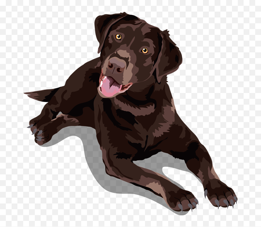 Black Clipart Labrador Retriever Png - Drawing Chocolate Lab Cartoon Emoji,Emoji Puppy Chocolate Lab