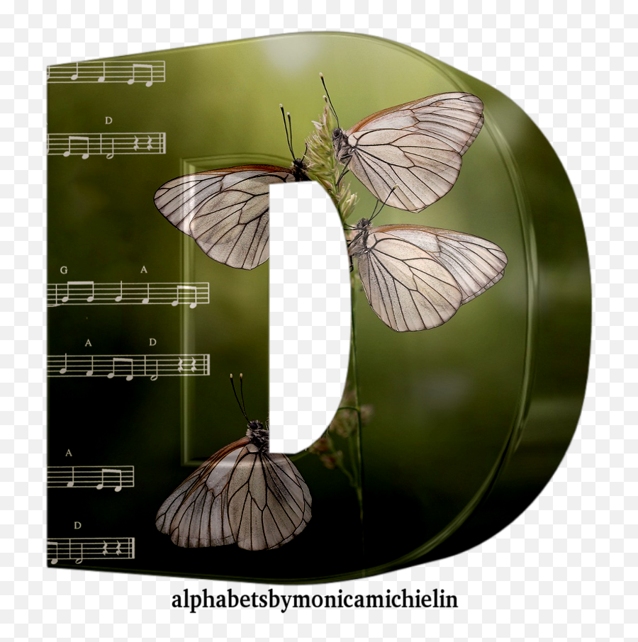 Monica Michielin Alphabets Green White Butterflies Alphabet - White Emoji,Emoji De Fornalha