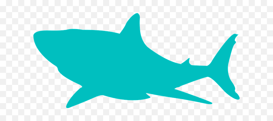 200 Free Shark U0026 Fish Illustrations - Pixabay Tubarão Fundo Do Mar Png Desenho Emoji,Shark Fin Emoji