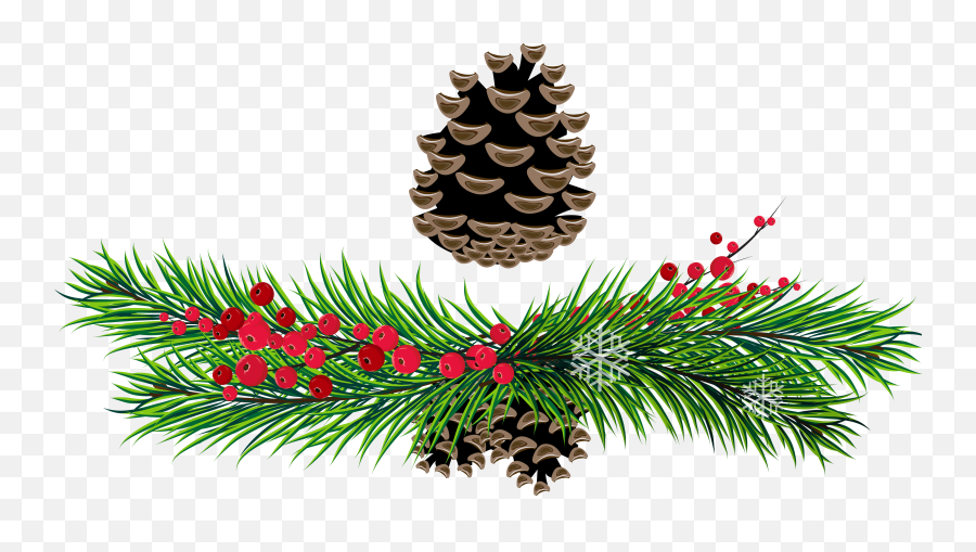 Free Pine Bough Png Download Free Clip - Rustic Christmas Holly Clipart Emoji,Pine Cone Emoji